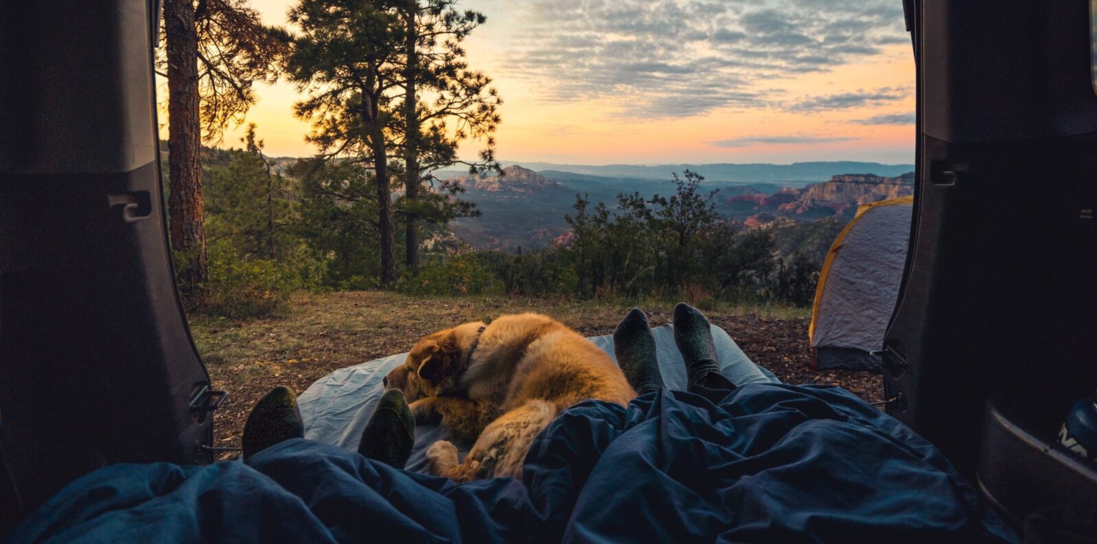 vacanza con camper e cane