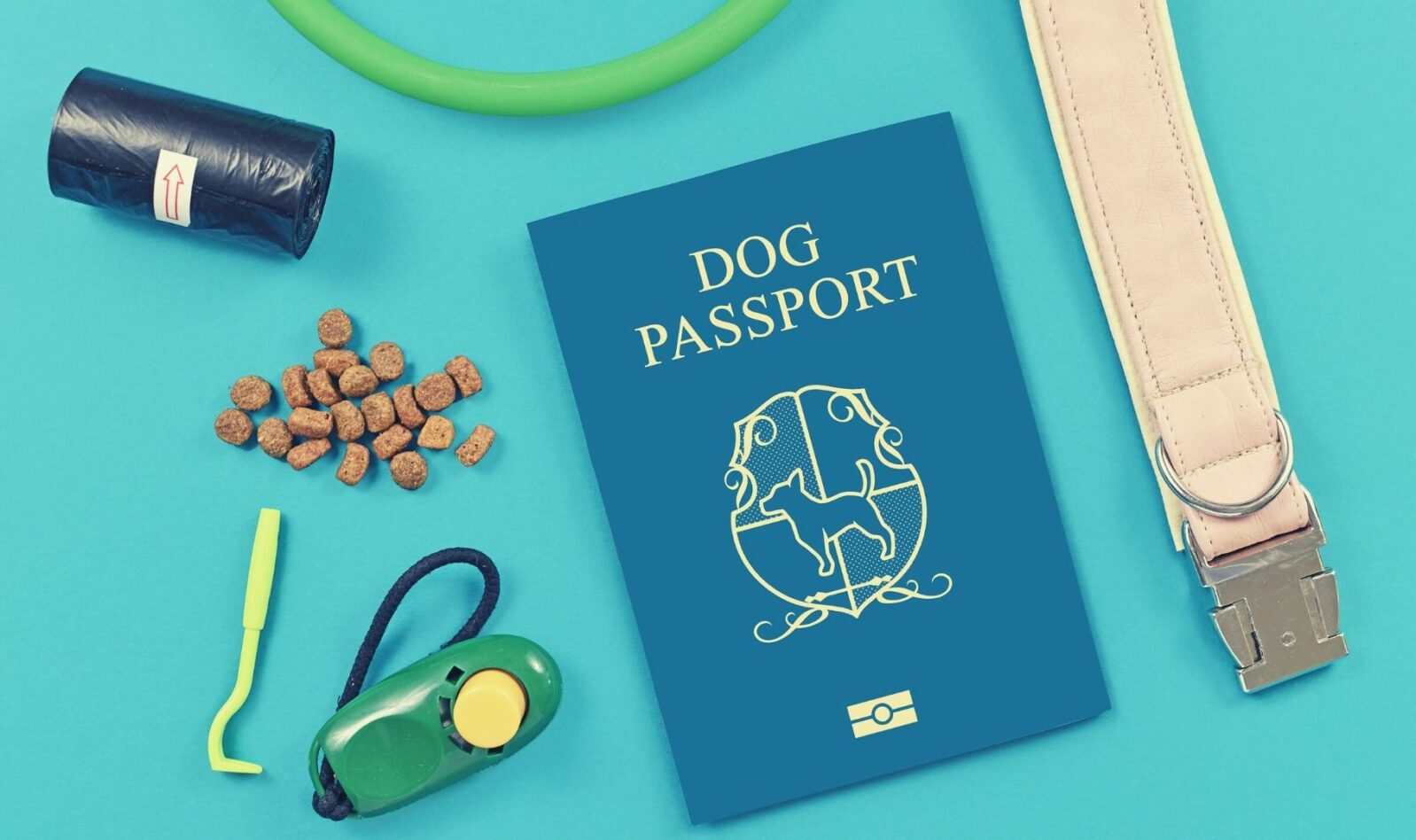 cane in camper: documenti